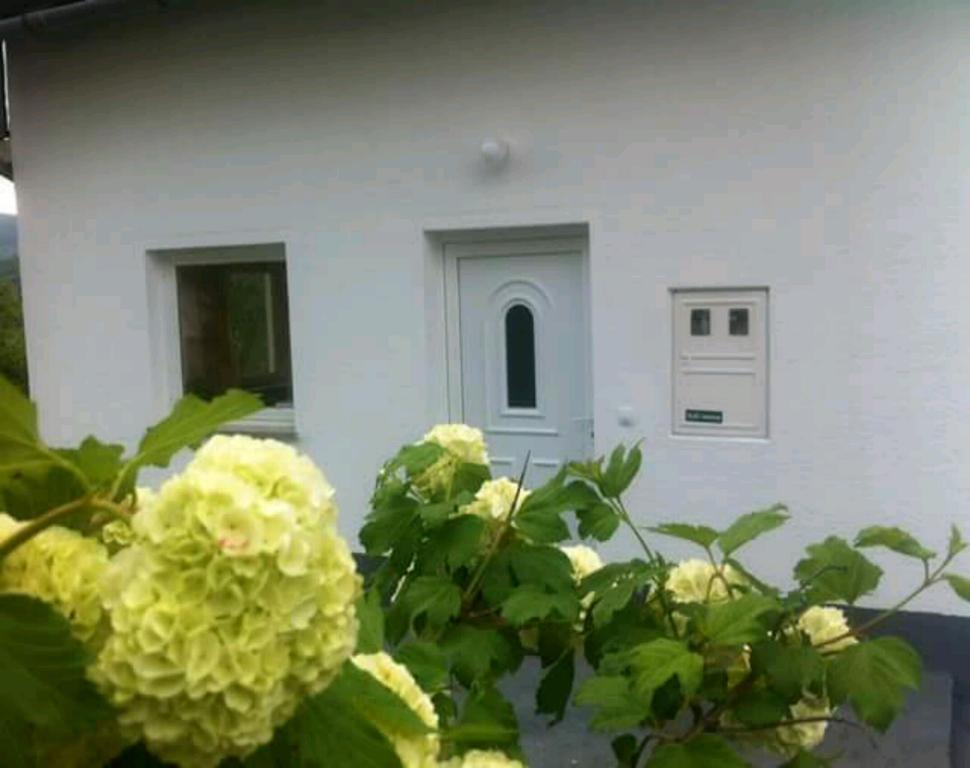 Guest House First Stop Rakovica Exterior photo